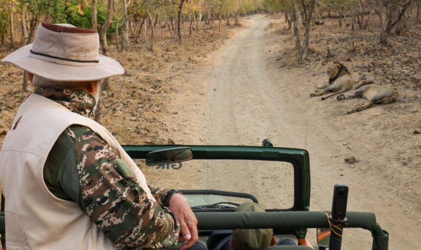 Wild Encounters at Gir – The Kingdom of the Asiatic Lion