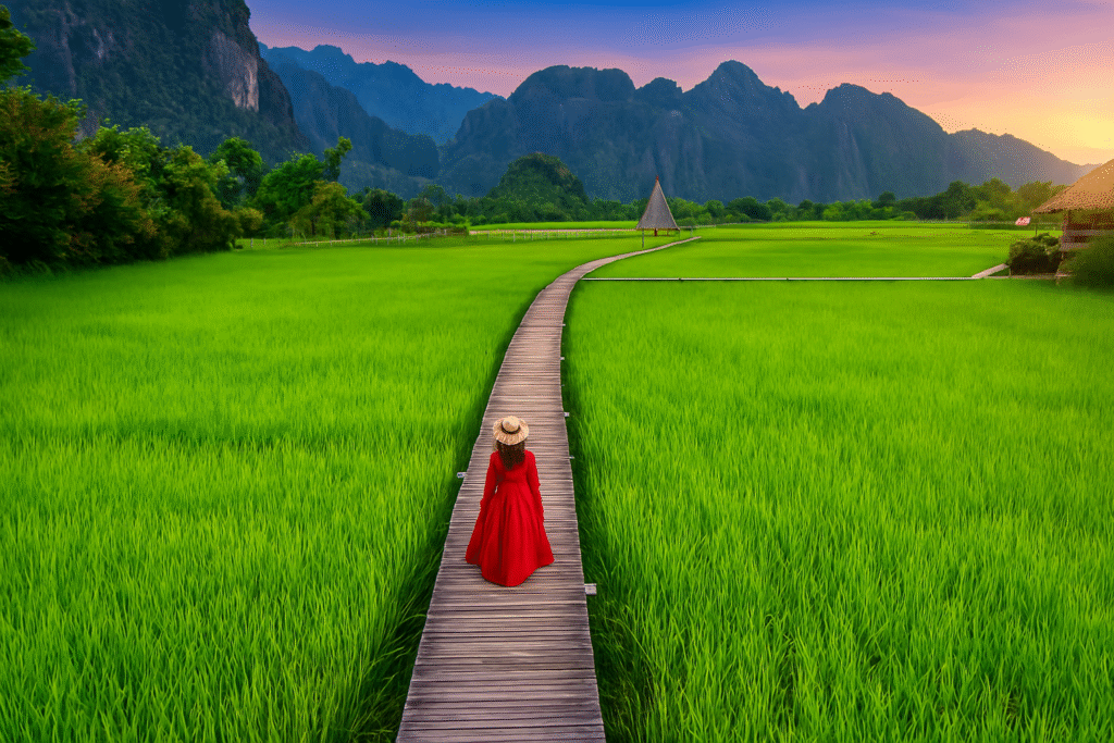 The current image has no alternative text. The file name is: laos.png