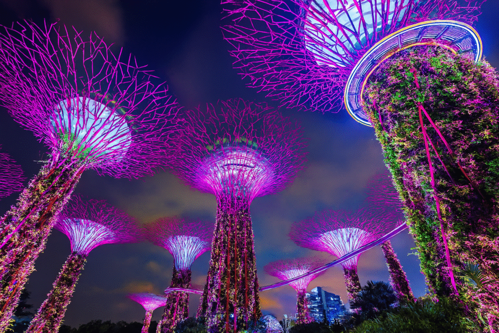 The current image has no alternative text. The file name is: supertree.png